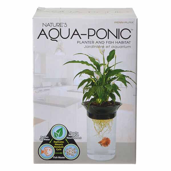 Penn Plax Nature's Aqua-Ponic Planter and Fish Habitat - 0.5 Gallon Tank - 3 in. D x 8.6 in. H