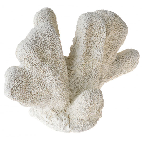 Exotic Environments Cats Paw Coral Ornament - White - 1 Count