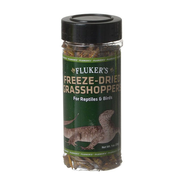 Flukers Freeze-Dried Grasshoppers - 1 oz - 2 Pieces