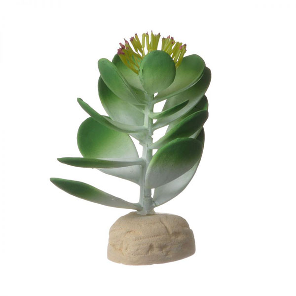 Exo-Terra Desert Jade Cactus Terrarium Plant - 1 Pack