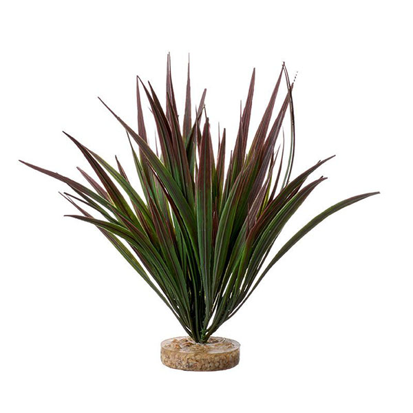 Blue Ribbon Amazonian Plant with Gravel Base Plum - 10 in. Tall