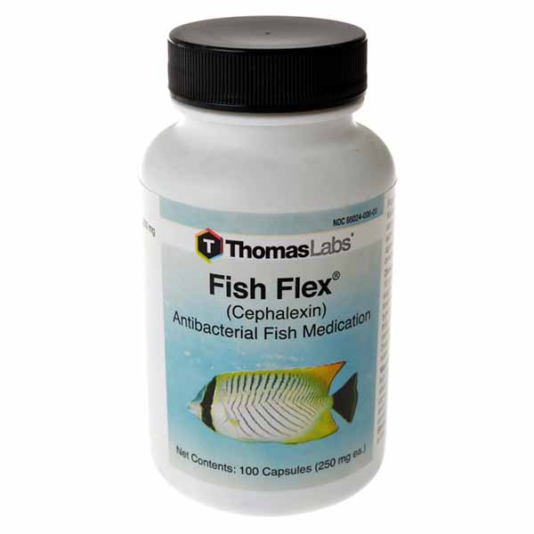 Thomas Labs - Fish Flex - 100 Tablets - 250 mg