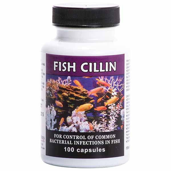 Thomas Labs - Fish Cillin - 100 Tablets - 250 mg