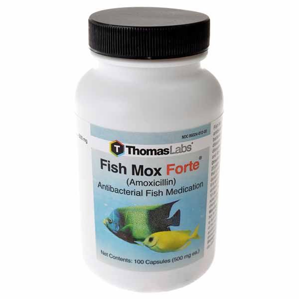 Thomas Labs - Fish Mox Forte - 100 Tablets - 500 mg