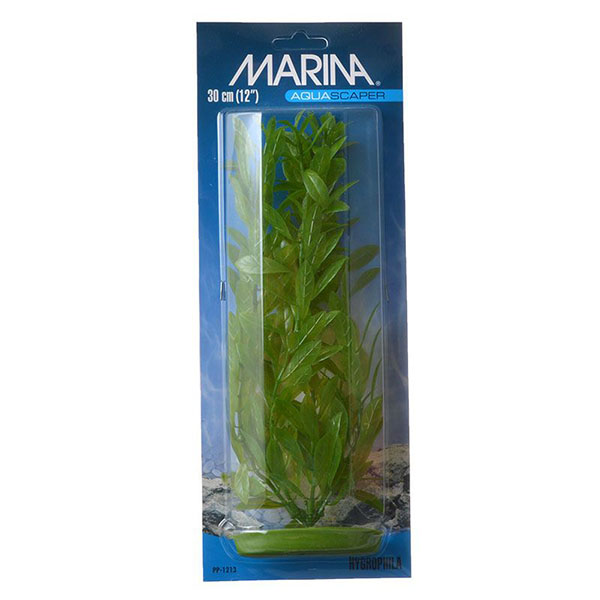 Marina Hygrophila Plant - 12 in. Tall - 2 Pieces