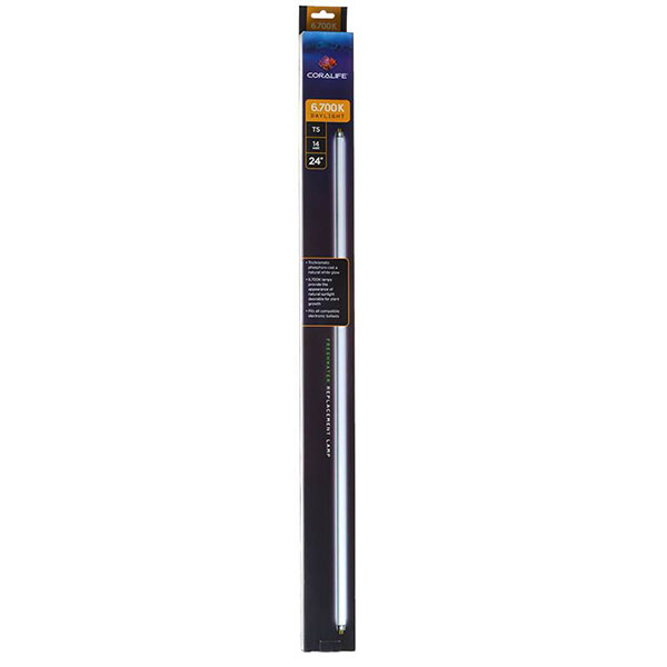 Cora life 6,700 K Daylight T 5 Fluorescent Lamp - 24 in. Bulb - 14 Watt