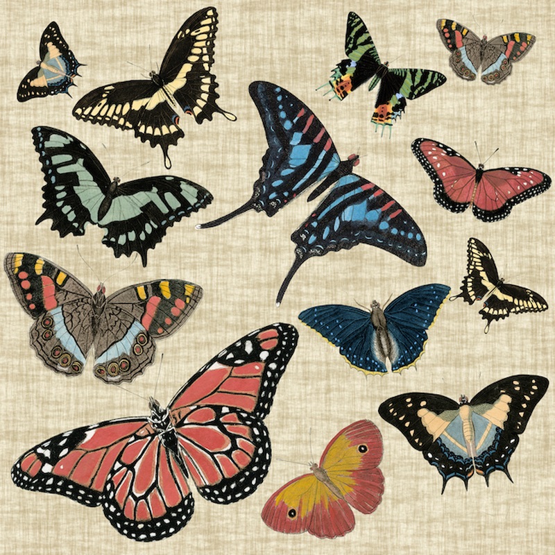 Butterflies and Linen I