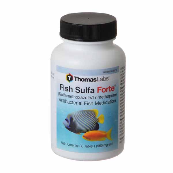 Thomas Labs Fish Sulfa Forte - 30 Tablets - 400 mg