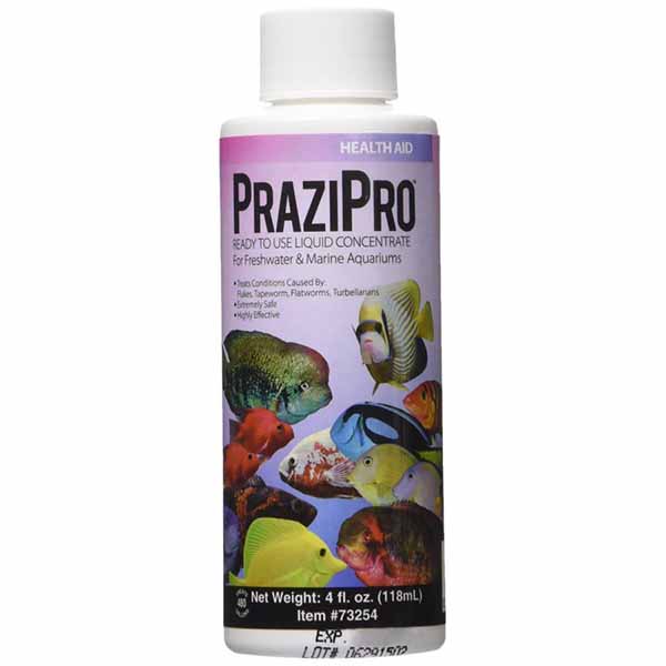 Hikari Aquarium Solutions PraziPro - 4 oz