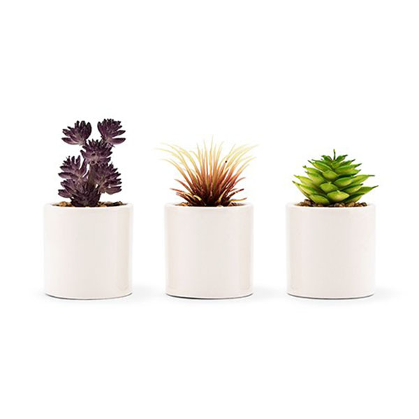 Small Faux Succulent Plants - Set Of 6
