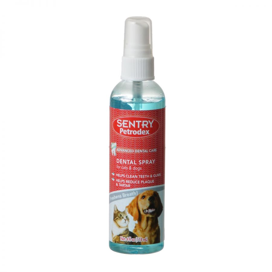 Petrodex Dental Rinse for Dogs and Cats - 4 oz