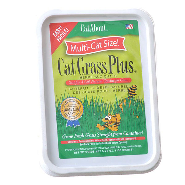 Gimborn Cat Grass Plus - 5 oz Tub - 4 Pieces