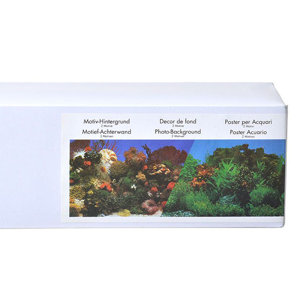 Blue Ribbon Freshwater Garden and Caribbean Coral Reef Double Sided Aquarium Background - 50 in. Long x 12 in. High