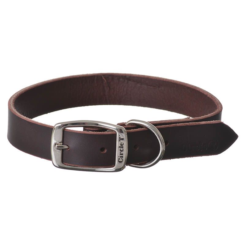Circle T Latigo Leather Town Collar - 22 Long x 1 Wide