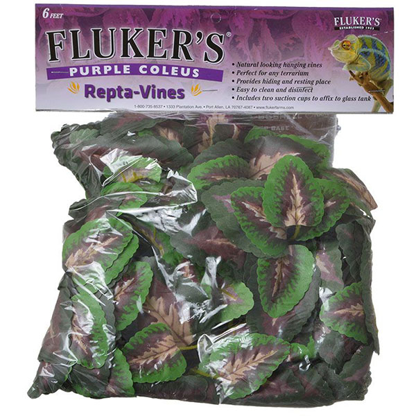 Flukers Purple Coleus Rep ta-Vines - 6 in. Long