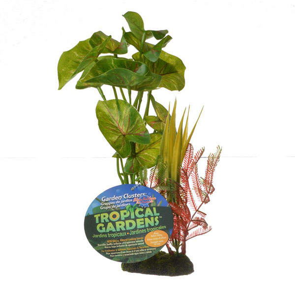 Color Burst Flora ls Pathos Red Vein Leaf Cluster Aquarium Plant - 8 in. High - 2 Pieces