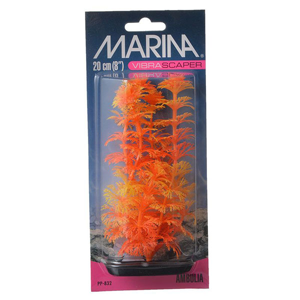 Marina Vibrascraper Ambulia Plant - Orange and Yellow - 8 in. Tall