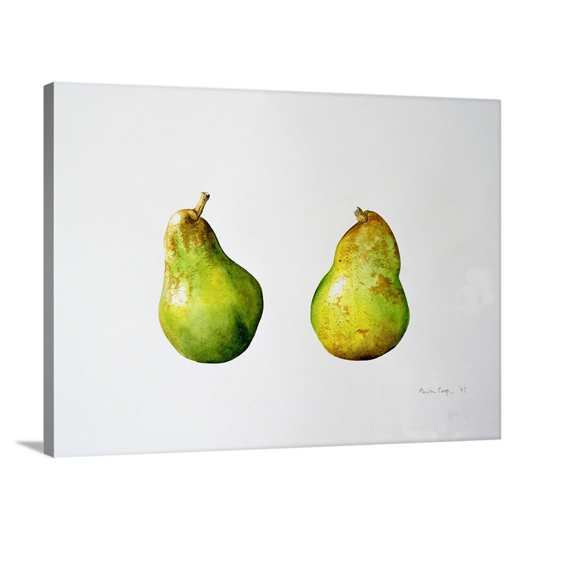 A Pair Of Pears 1997 Wall Art - Canvas - Gallery Wrap