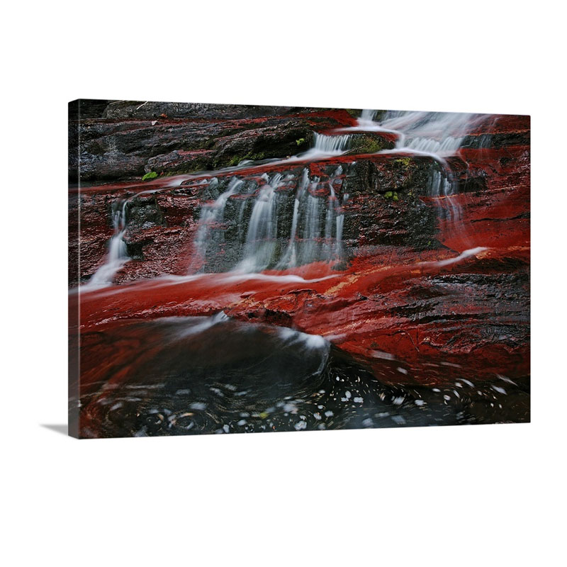 A Waterton Creek Bed Gleams Crimson From Iron Rich Rocks Waterton Lakes National Park Alberta Canada Wall Art - Canvas - Gallery Wrap