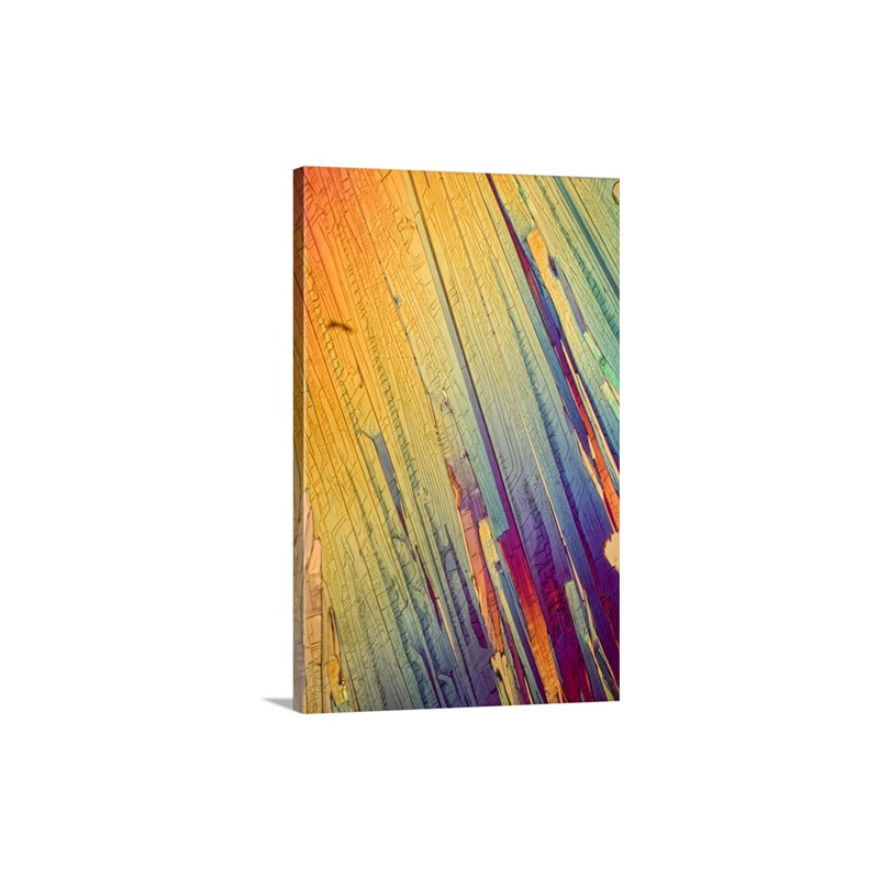 A Photomicrograph A Picture Taken Through A Microscope Of Salicylic Acid Wall Art - Canvas - Gallery Wrap