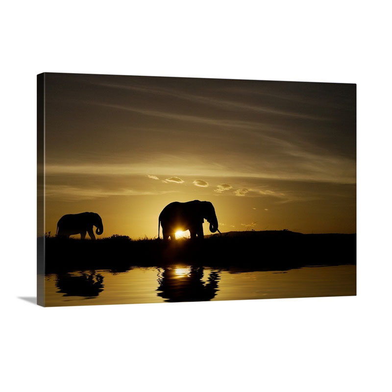 African Elephant Sunset Wall Art - Canvas - Gallery Wrap