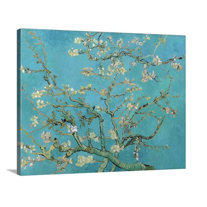 Almond Blossom Wall Art - Canvas - Gallery Wrap