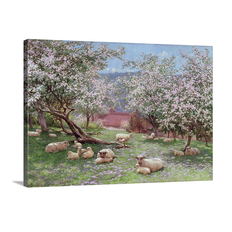 Appleblossom Wall Art - Canvas - Gallery Wrap