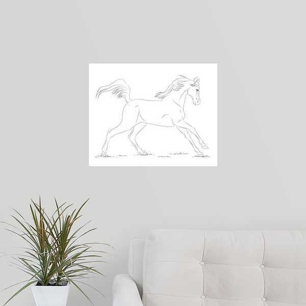 Arabian Horse