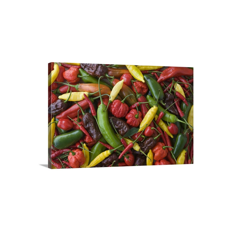 Assorted Multicolored Chili Pepper Wall Art - Canvas - Gallery Wrap