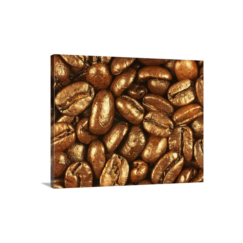 Beaned By Nathan Griffith Wall Art - Canvas - Gallery Wrap