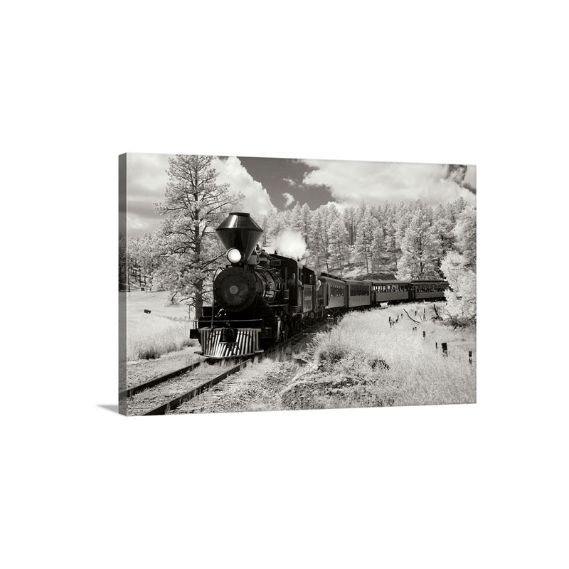 Black Hills RR I I Wall Art - Canvas - Gallery Wrap
