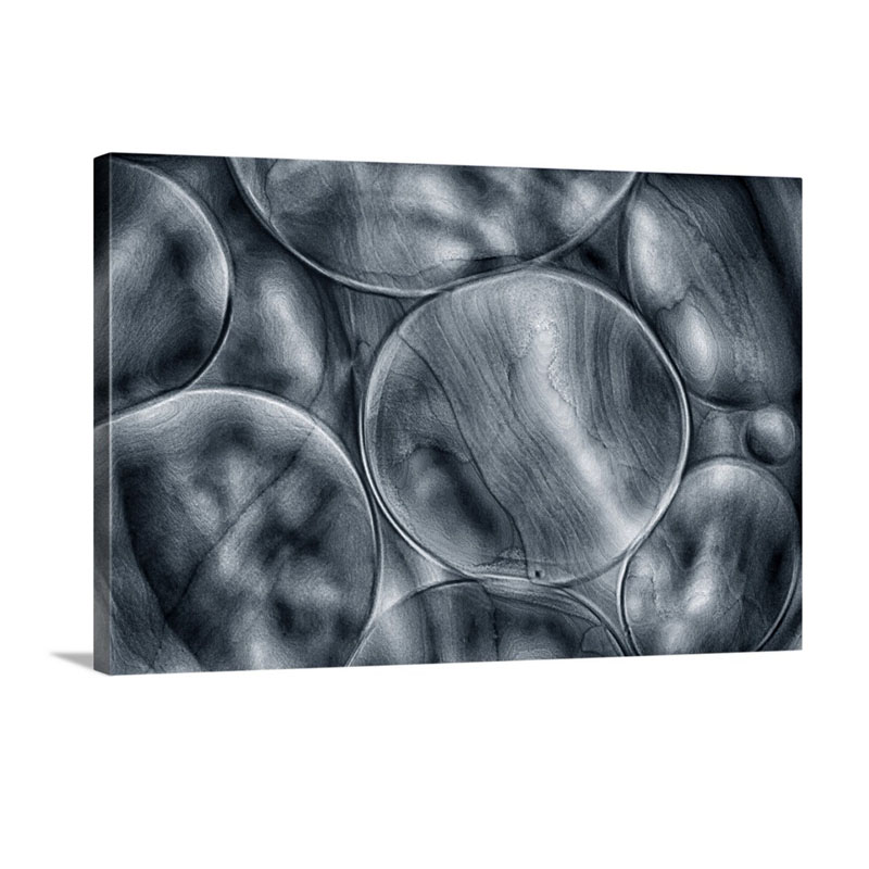 Blue Cells Wall Art - Canvas - Gallery Wrap