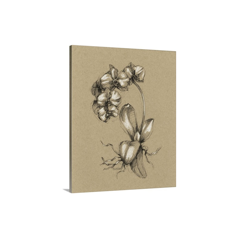 Botanical Sketch Black And White V Wall Art - Canvas - Gallery Wrap