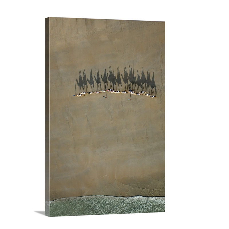 Broome Camel Train Wall Art - Canvas - Gallery Wrap