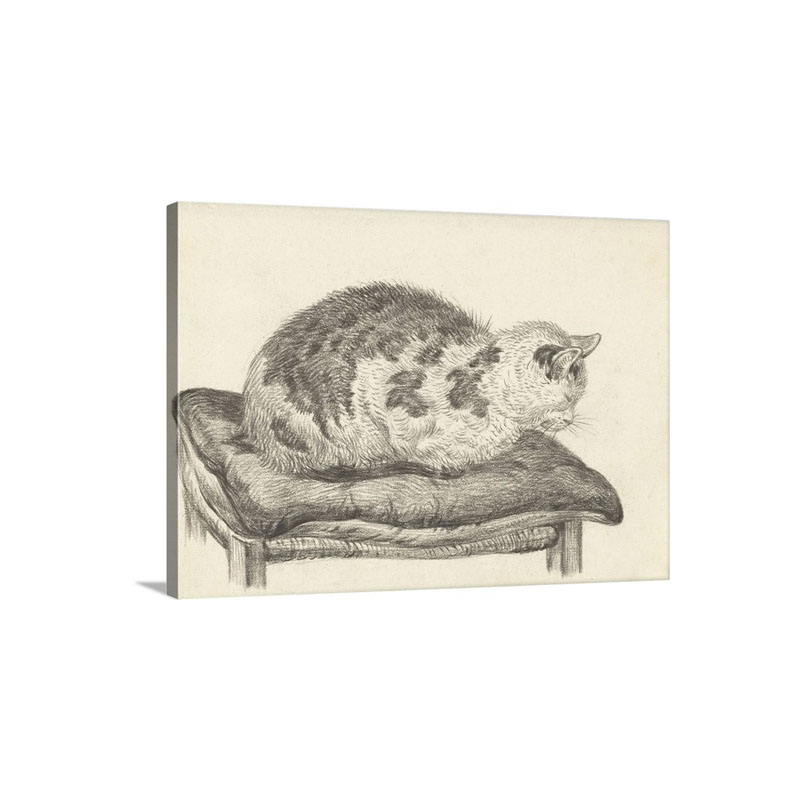 Cat Lying On A Cushion Facing Left By Jean Bernard 1928 Dutch Chalk Drawing Wall Art - Canvas - Gallery Wrap