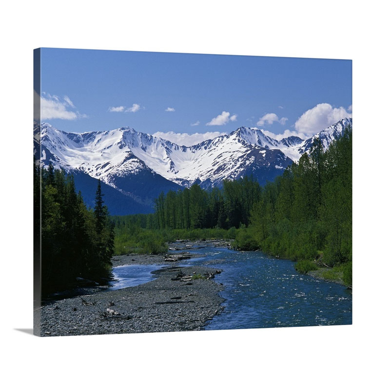 Chugach Mountains Running Stream Summer Alaska Wall Art - Canvas - Gallery Wrap