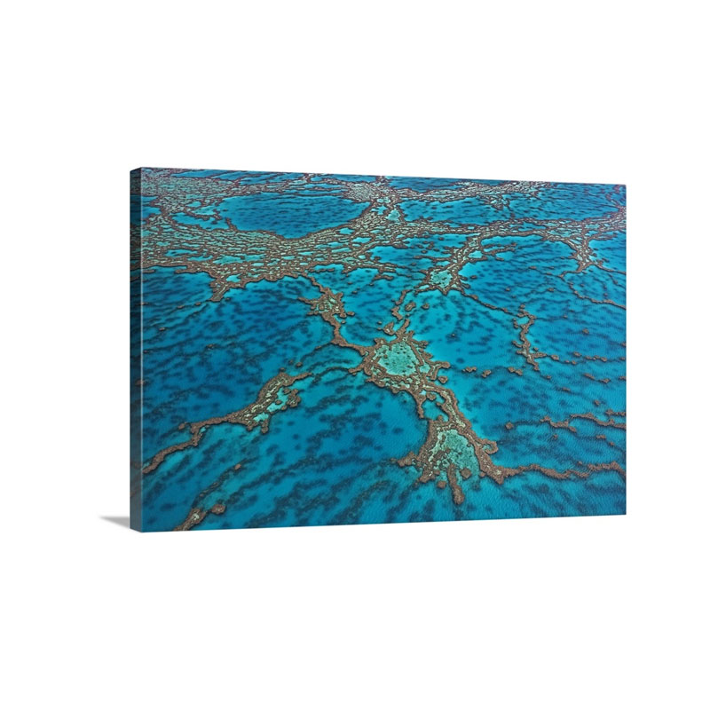 Coral Formations On Hardy Reef Great Barrier Reef Queensland Australia Wall Art - Canvas - Gallery Wrap