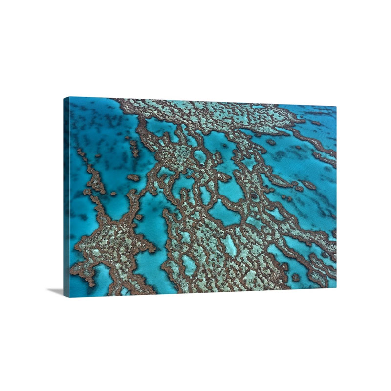 Coral Formations On Hardy Reef Great Barrier Reef Queensland Australia Wall Art - Canvas - Gallery Wrap