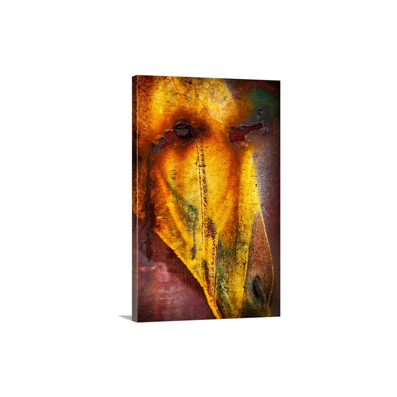 Crying Horse Wall Art - Canvas - Gallery Wrap