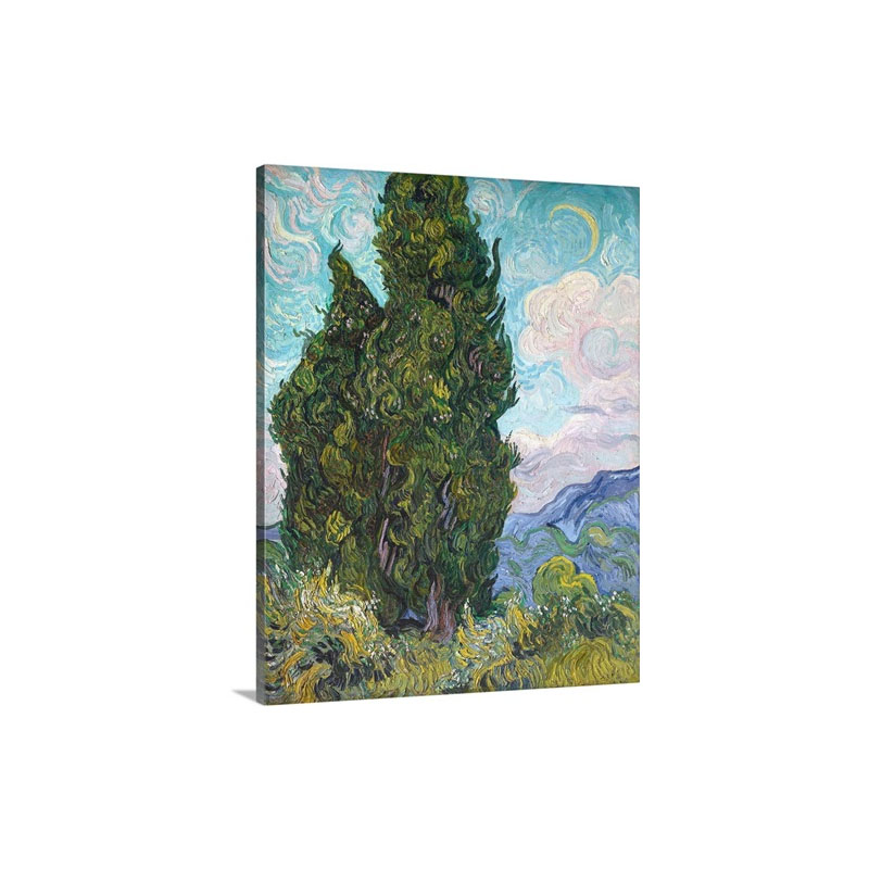 Cypresses By Vincent Van Gogh Wall Art - Canvas - Gallery Wrap