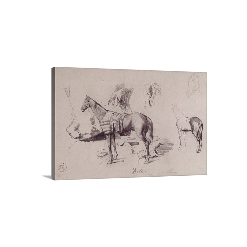 Delio The Horse Of General Prim 1860 War Of Hispano Moroccan War Wall Art - Canvas - Gallery Wrap