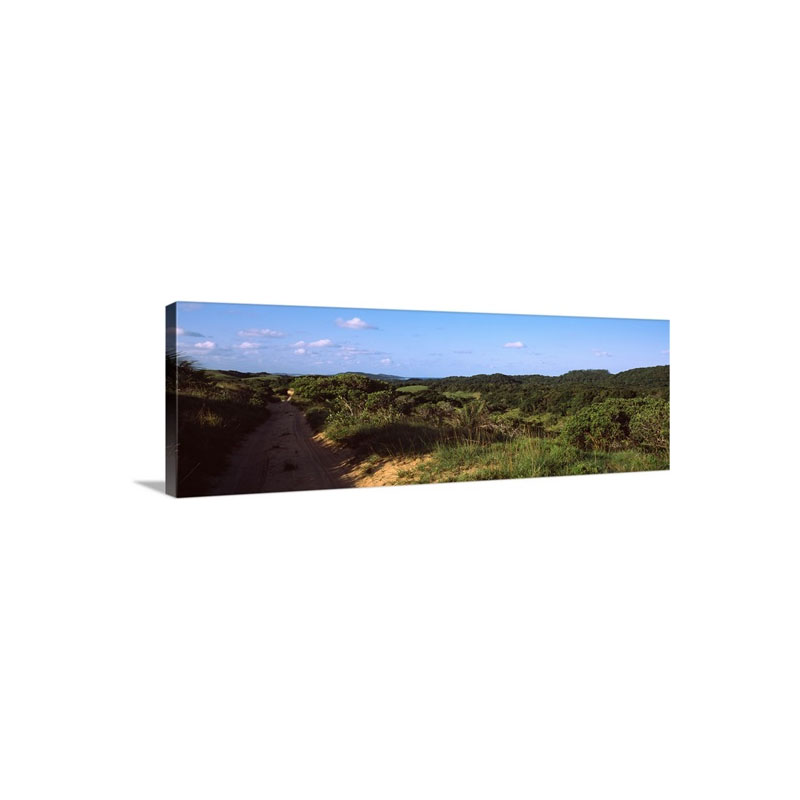 Dirt Road Passing Through A Landscape Maputaland Coastal Forest Mosaic South Africa Wall Art - Canvas - Gallery Wrap