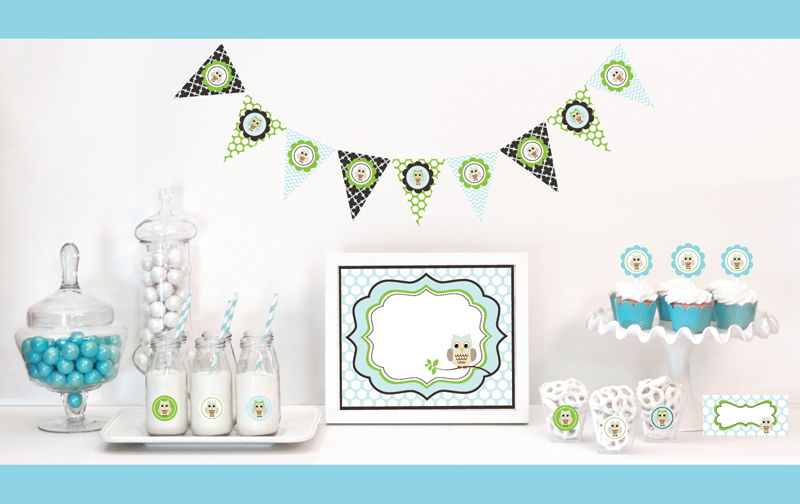 Blue Owl Decorations Starter Kit