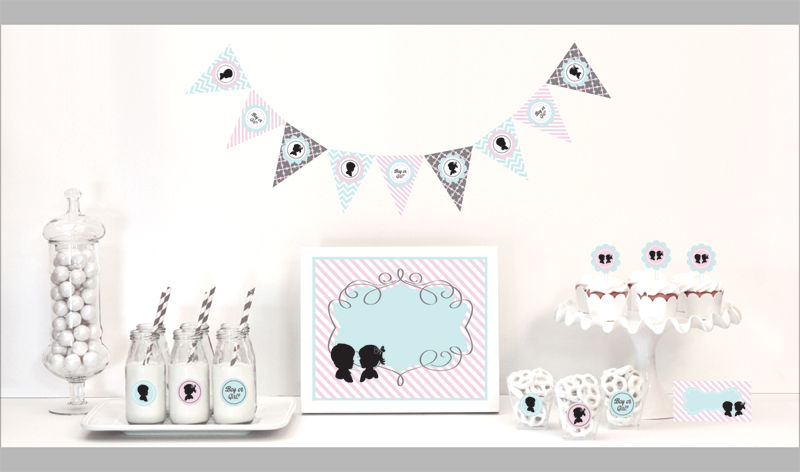 Gender Reveal Decorations Starter Kit