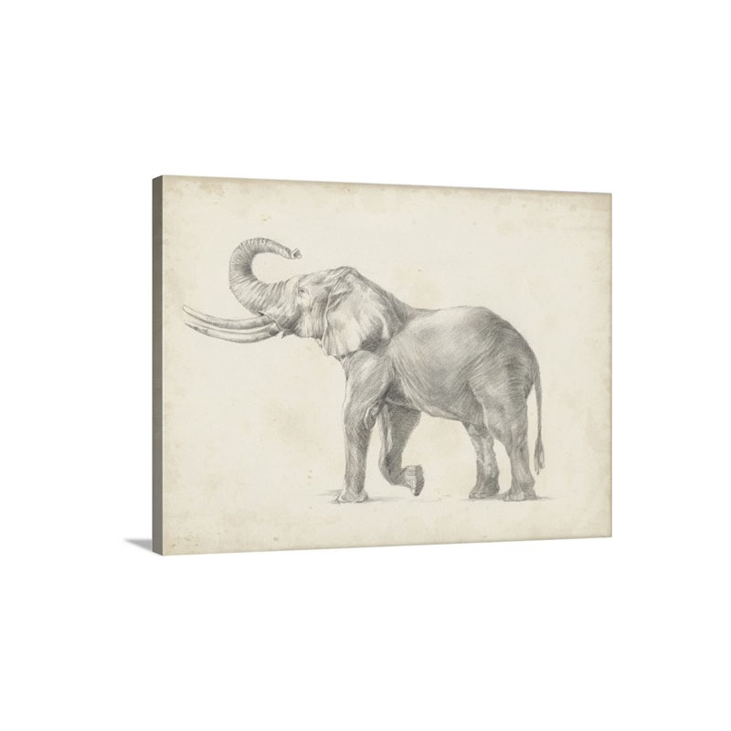 Elephant Sketch I Wall Art - Canvas - Gallery Wrap