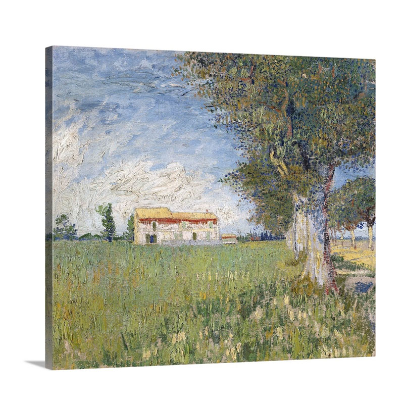 Farmhouse In A Wheat Field By Vincent Van Gogh Wall Art - Canvas - Gallery Wrap