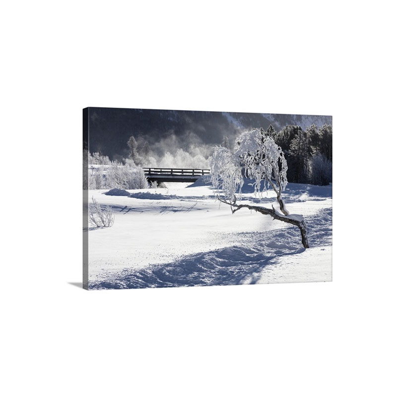Frost On Tree Branches Frames The Snowy Landscape Wall Art - Canvas - Gallery Wrap