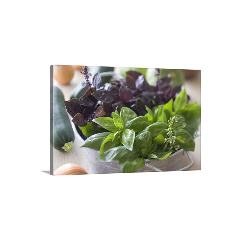 Green And Purple Basil - Canvas - Gallery Wrap