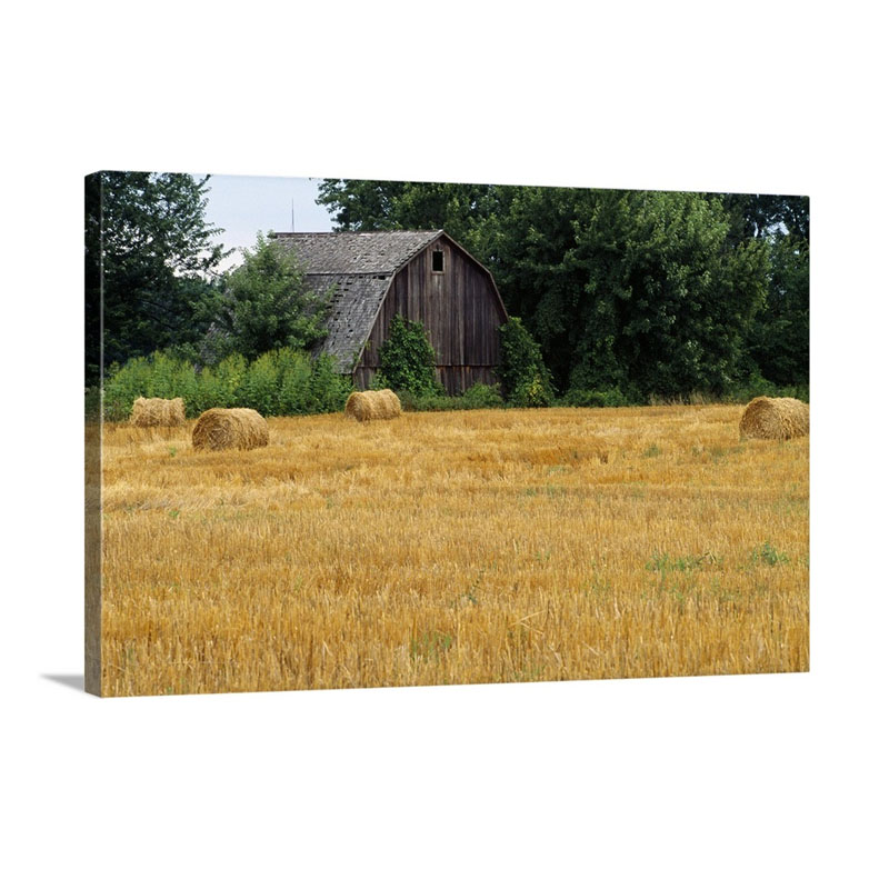 Hay Bales In Field Weathered Barn Michigan Wall Art - Canvas - Gallery Wrap