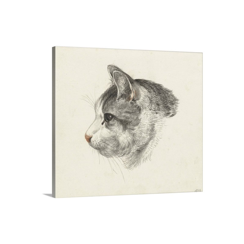 Head Of A Cat Facing Left By Jean Bernard 1819 Dutch Chalk Drawing Wall Art - Canvas - Gallery Wrap
